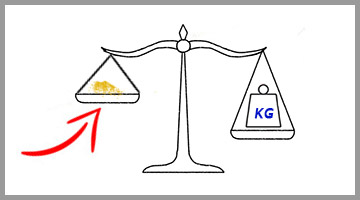 czosnek właściwości