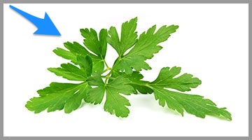 w czym są przeciwutleniacze