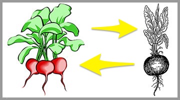jak obniżyć ciśnienie